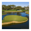 Event Image - TPC Sawgrass